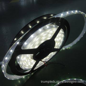 DC24V 60leds/m 3528 led strip waterproof ip45